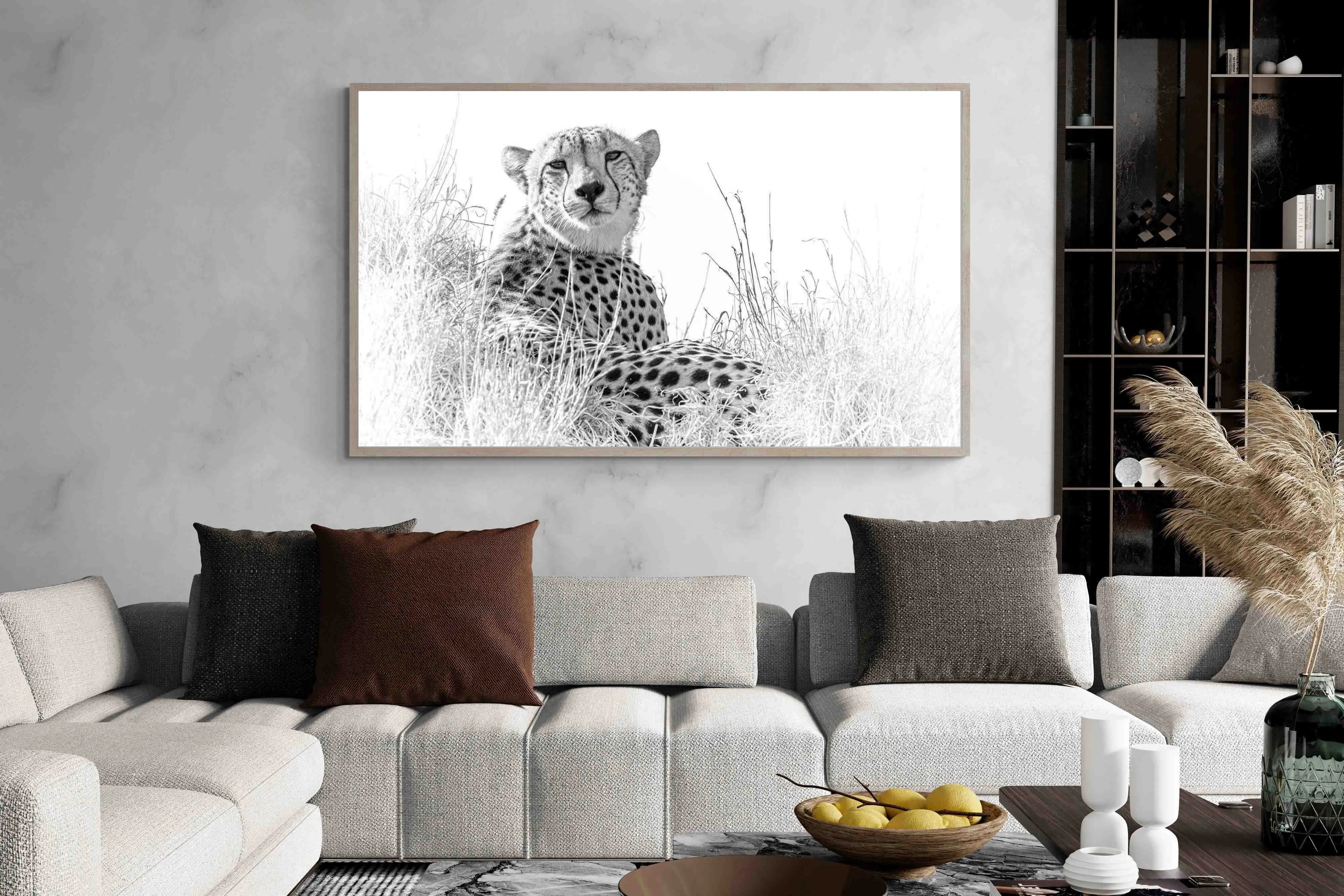 Cheetah Whiteout