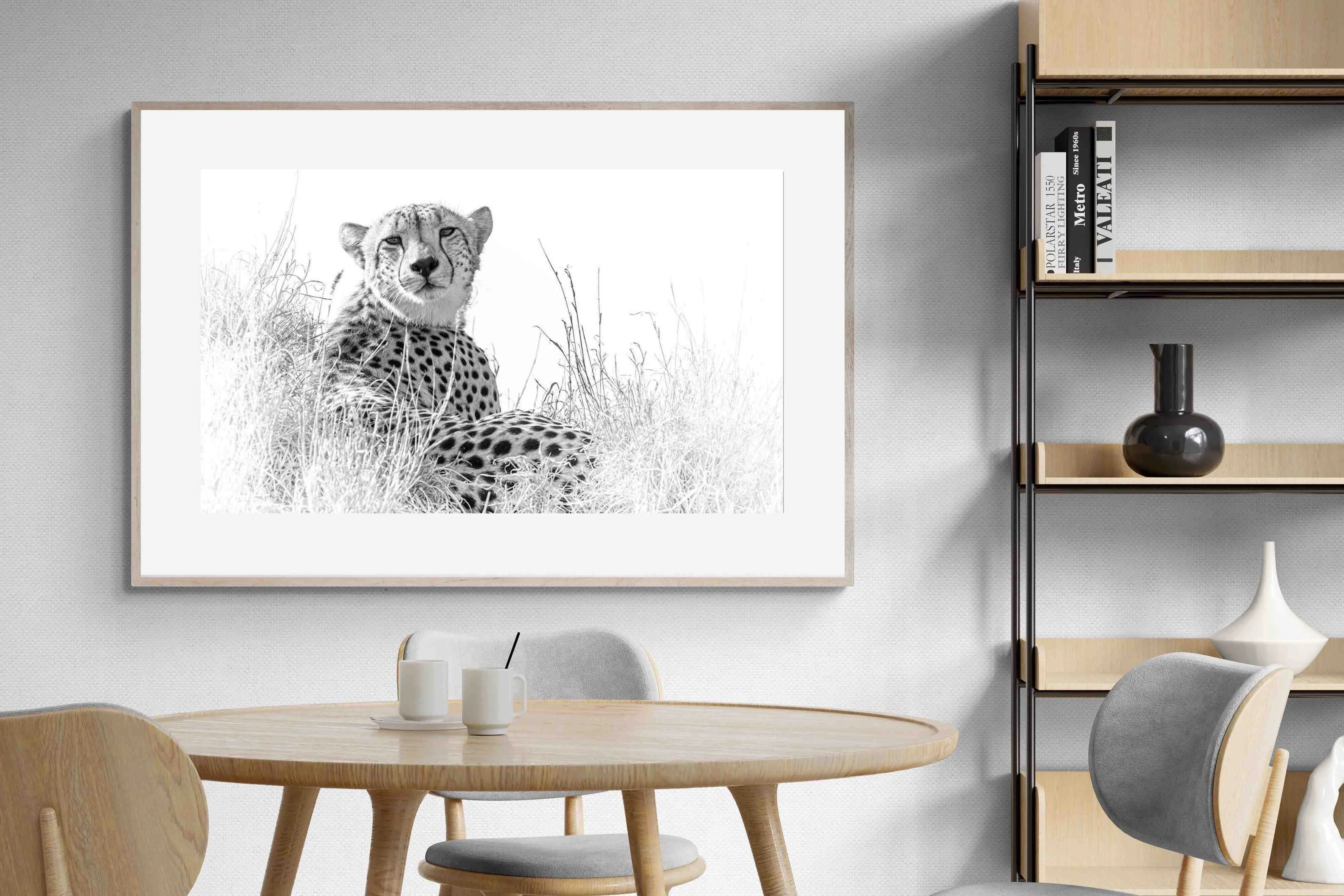 Cheetah Whiteout