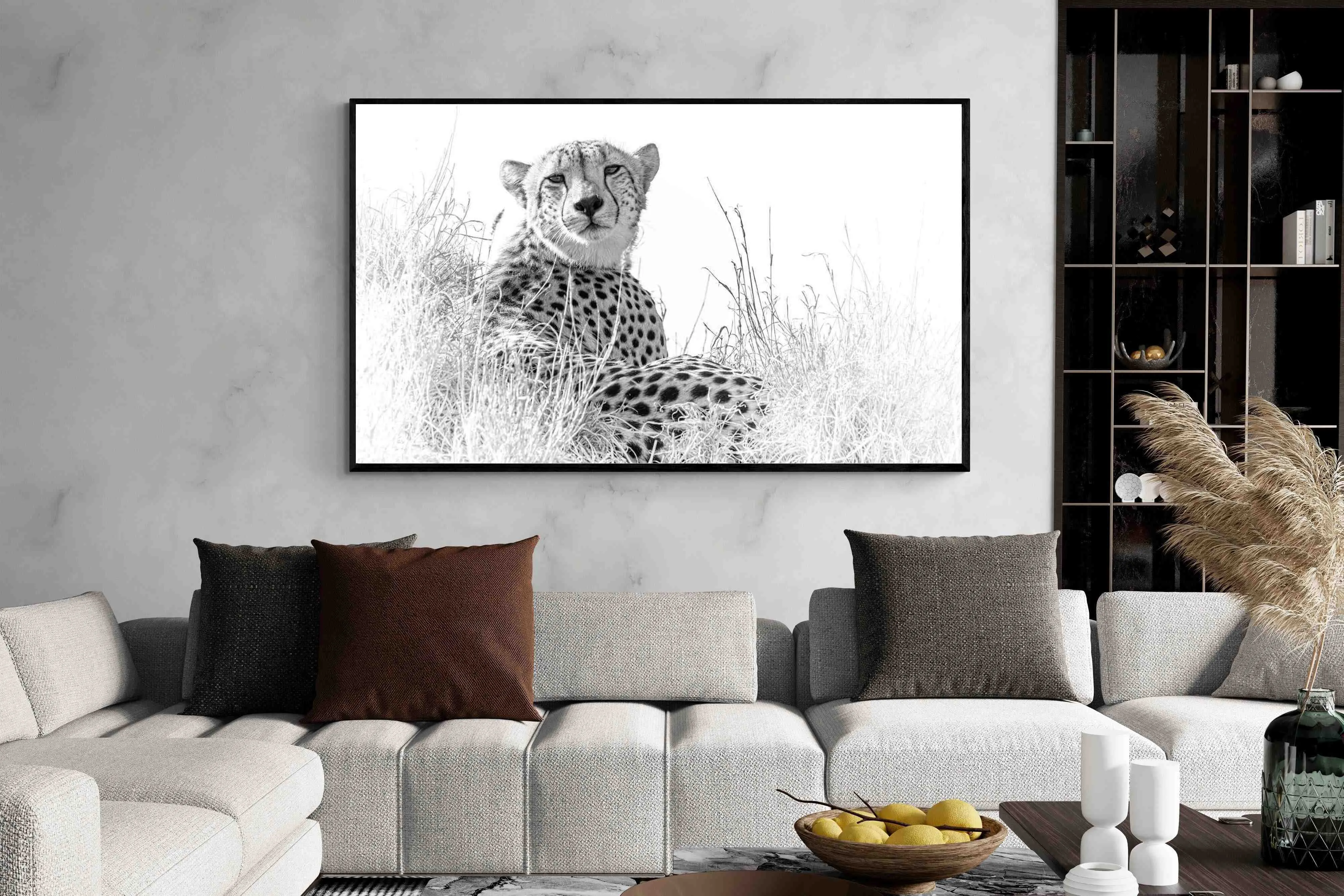 Cheetah Whiteout