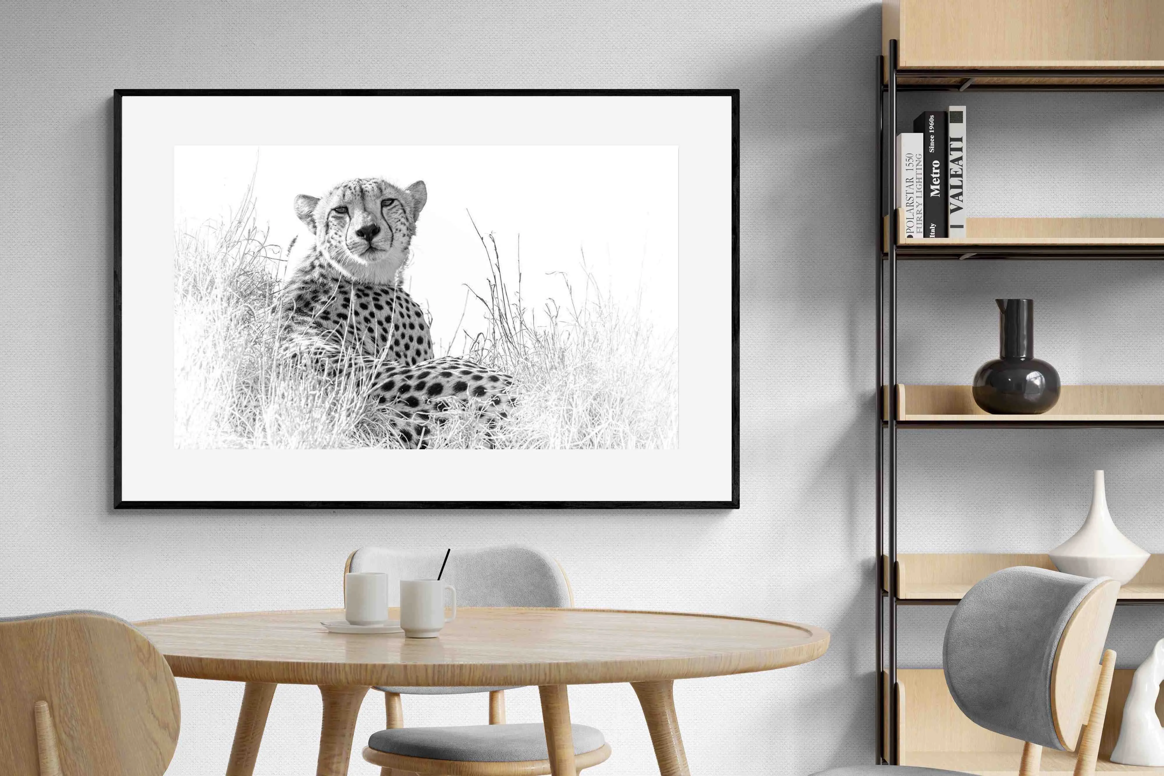 Cheetah Whiteout
