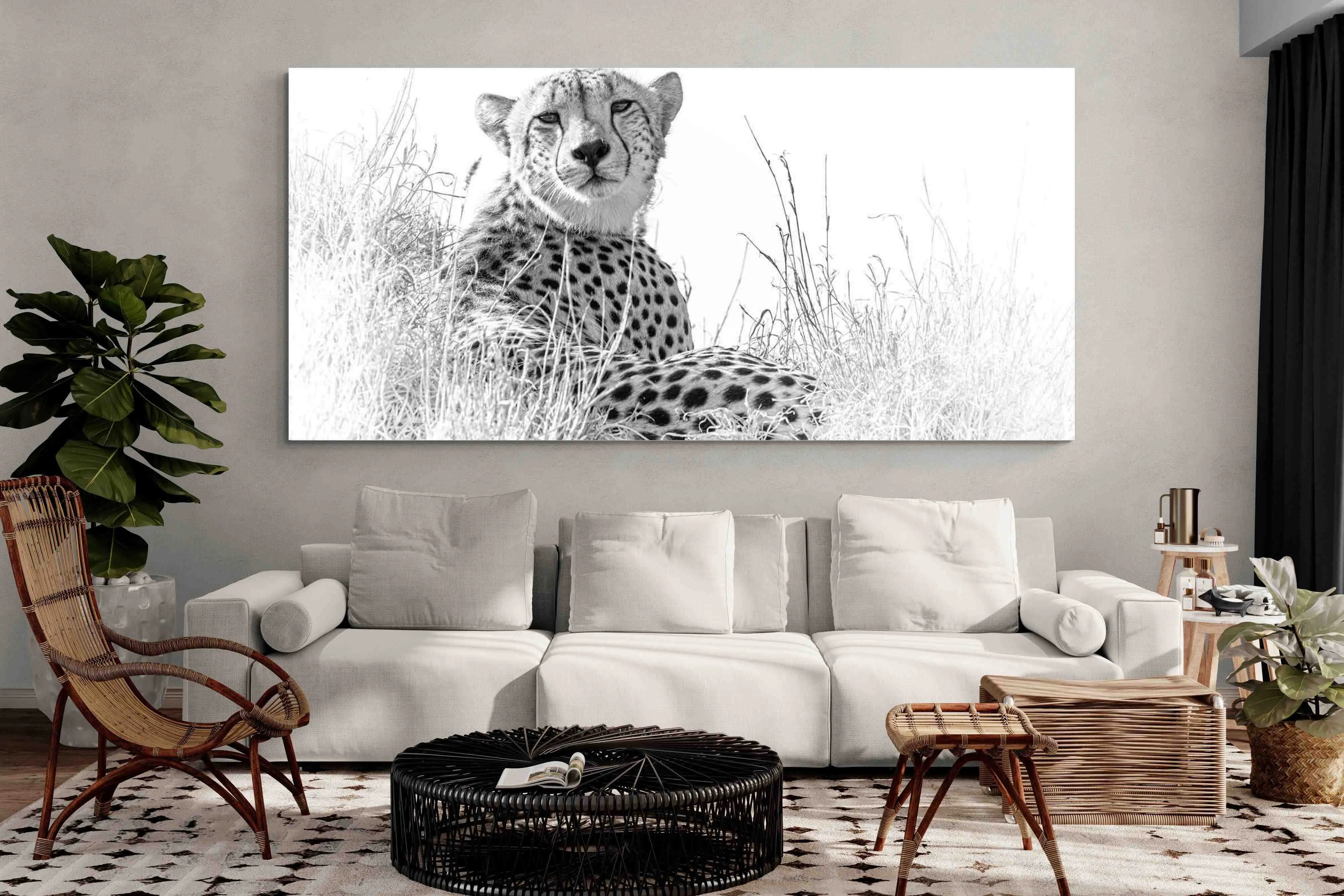Cheetah Whiteout