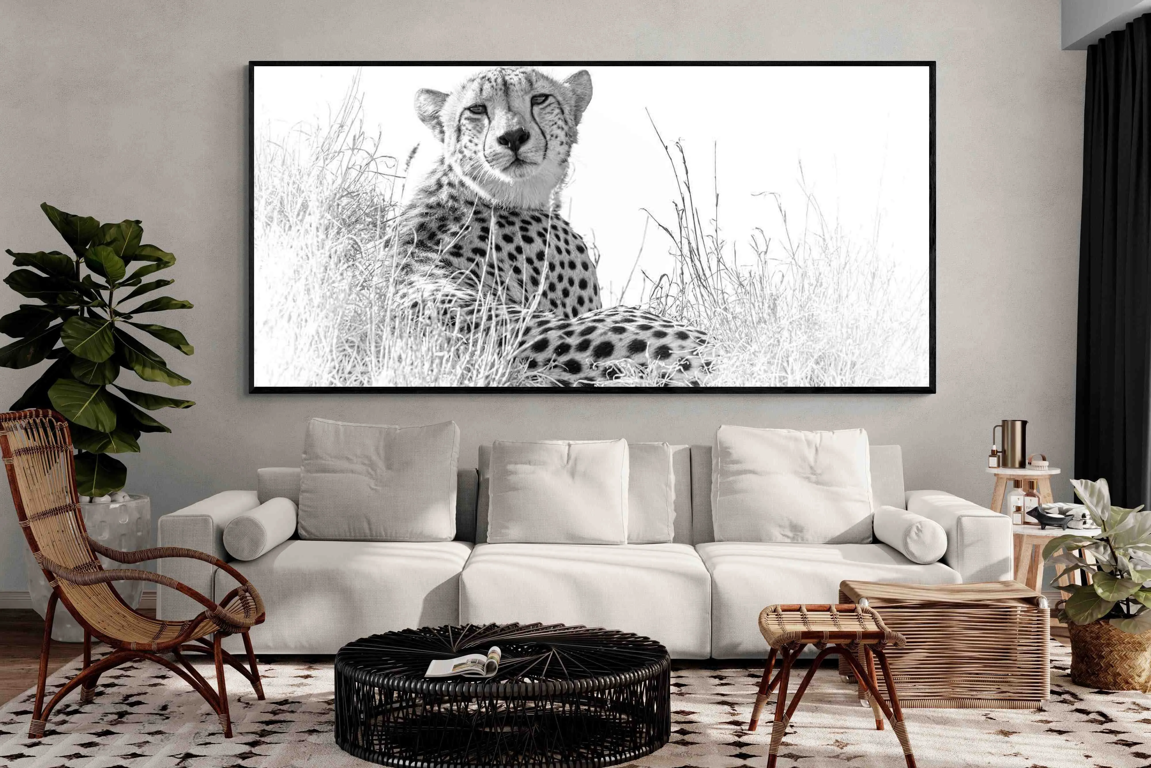 Cheetah Whiteout