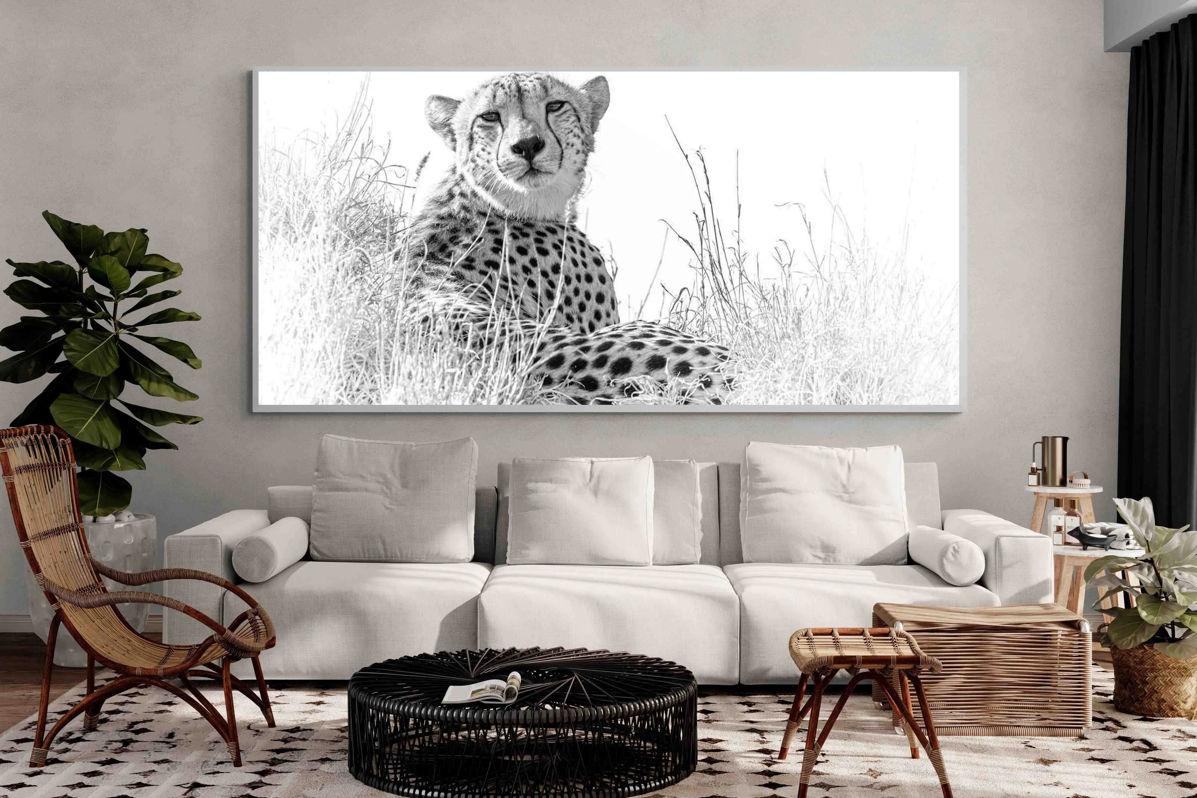 Cheetah Whiteout