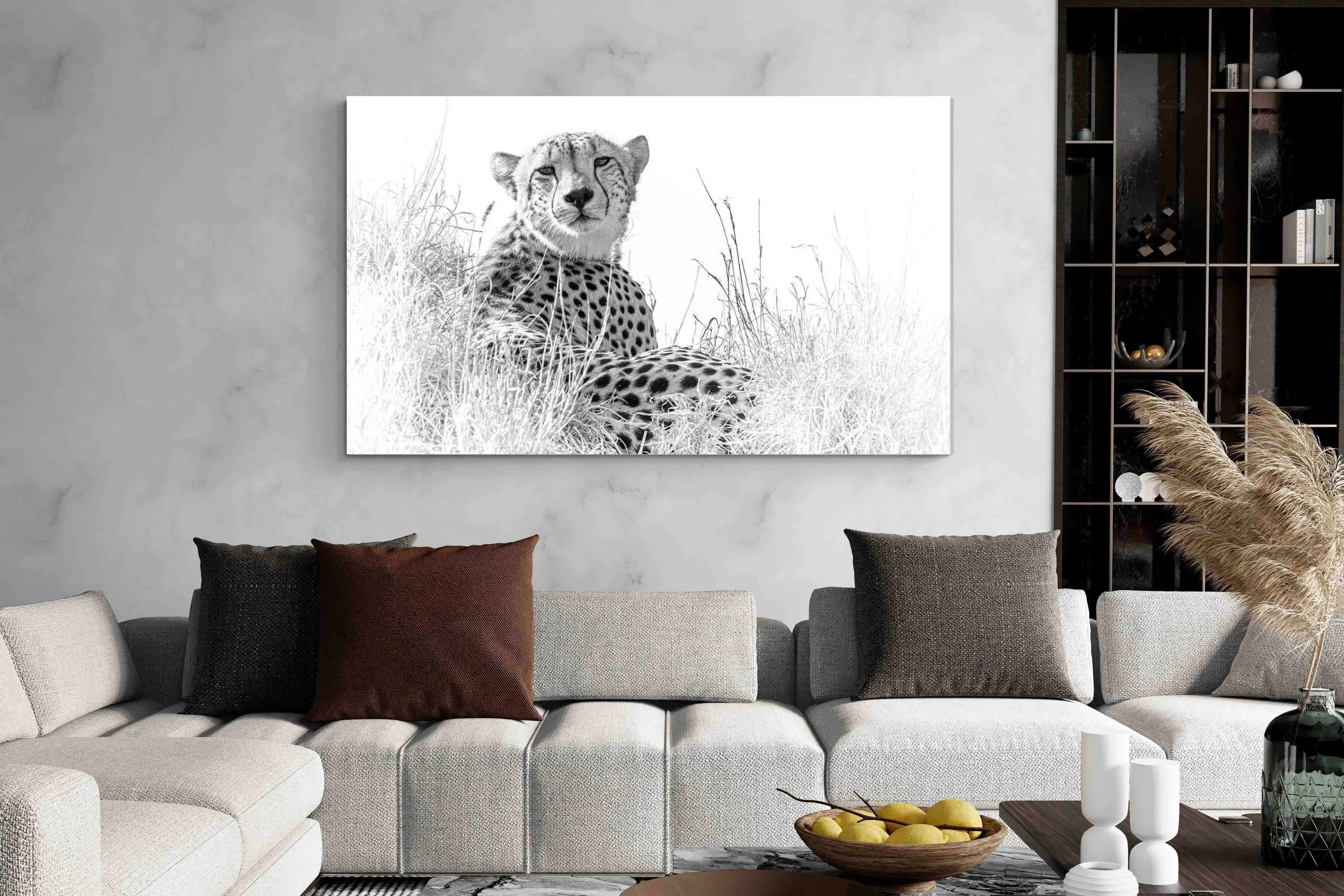 Cheetah Whiteout