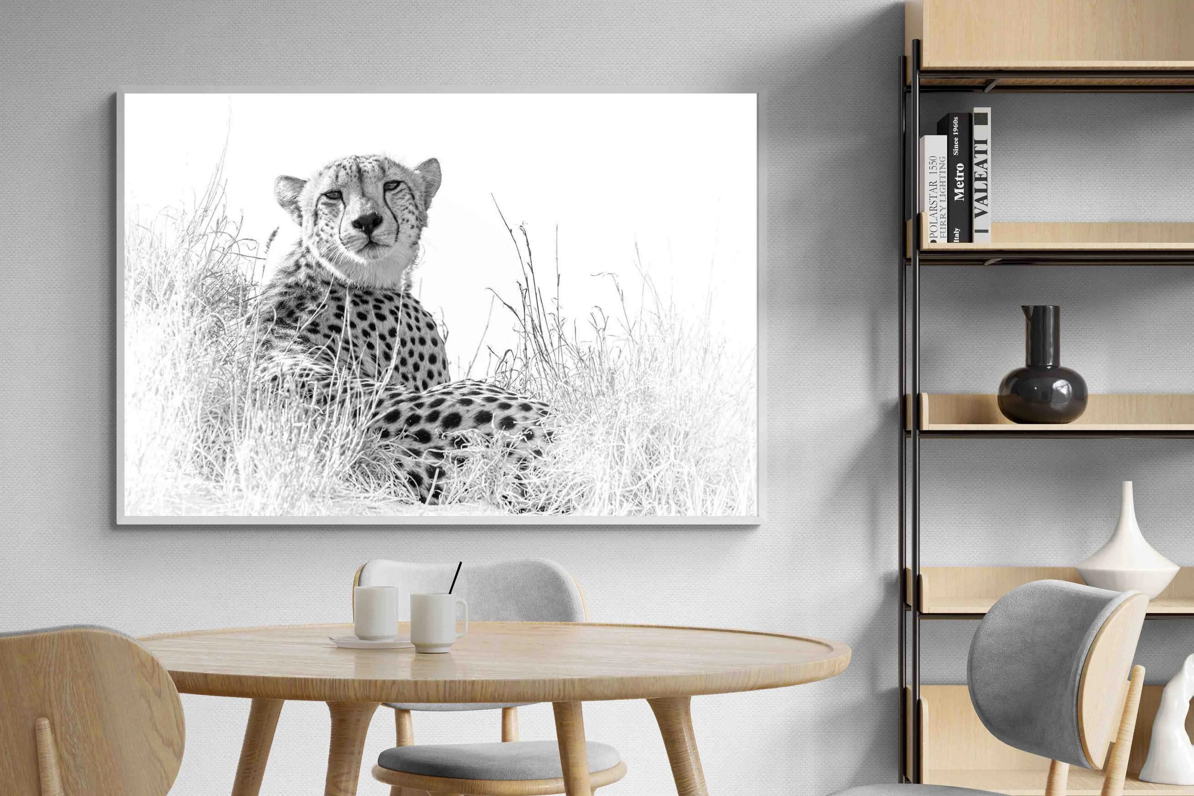 Cheetah Whiteout