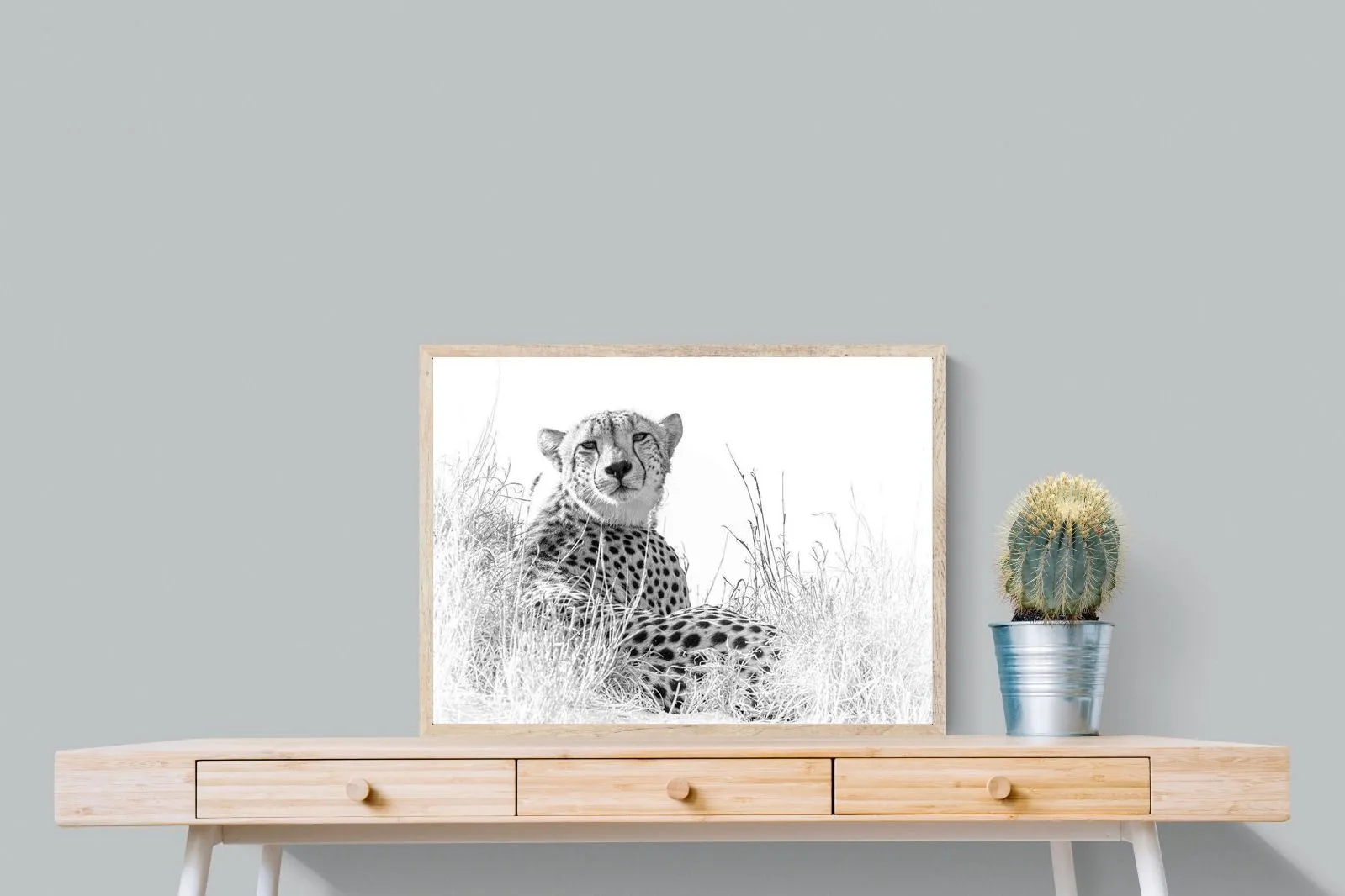 Cheetah Whiteout