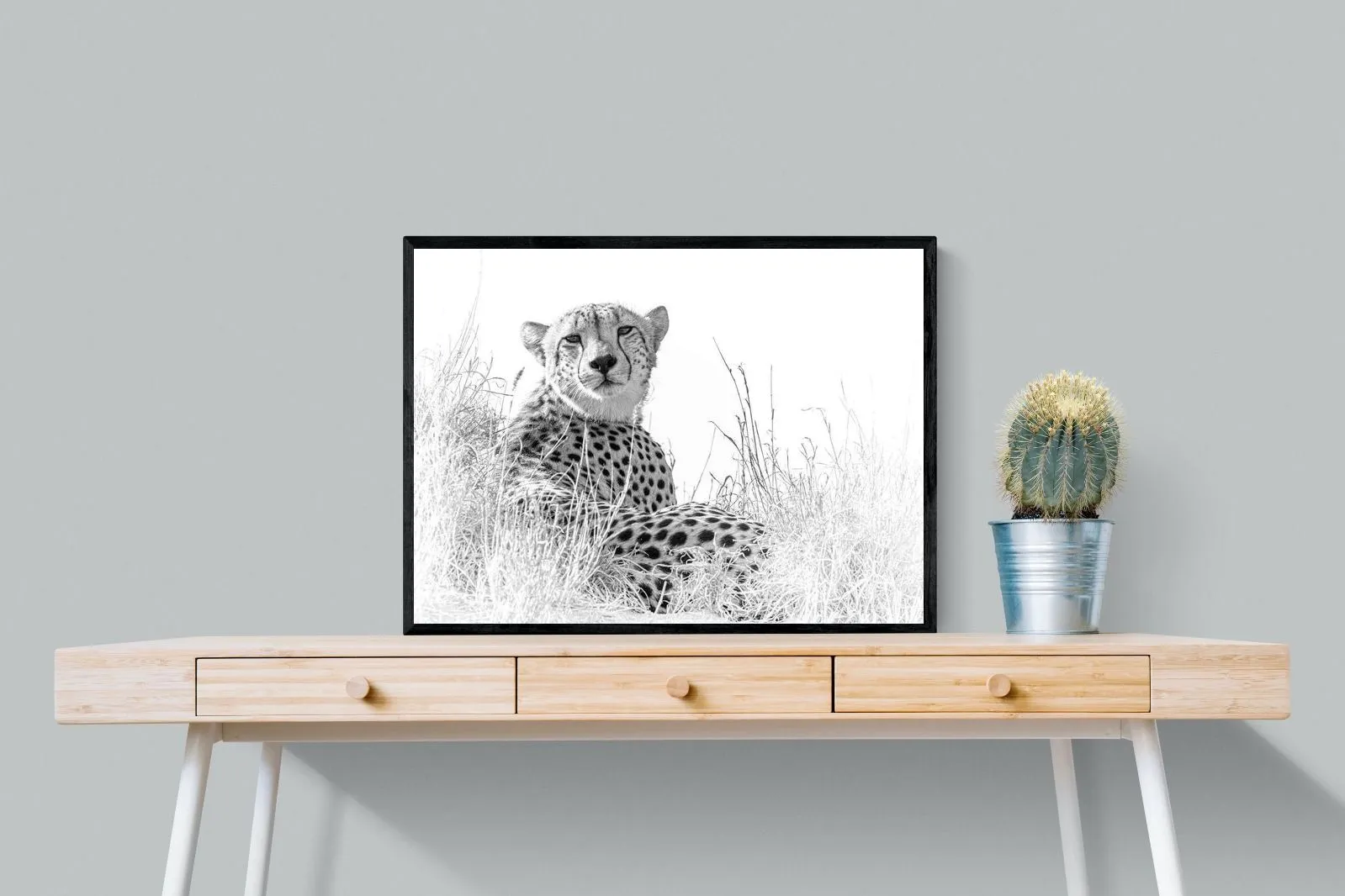 Cheetah Whiteout