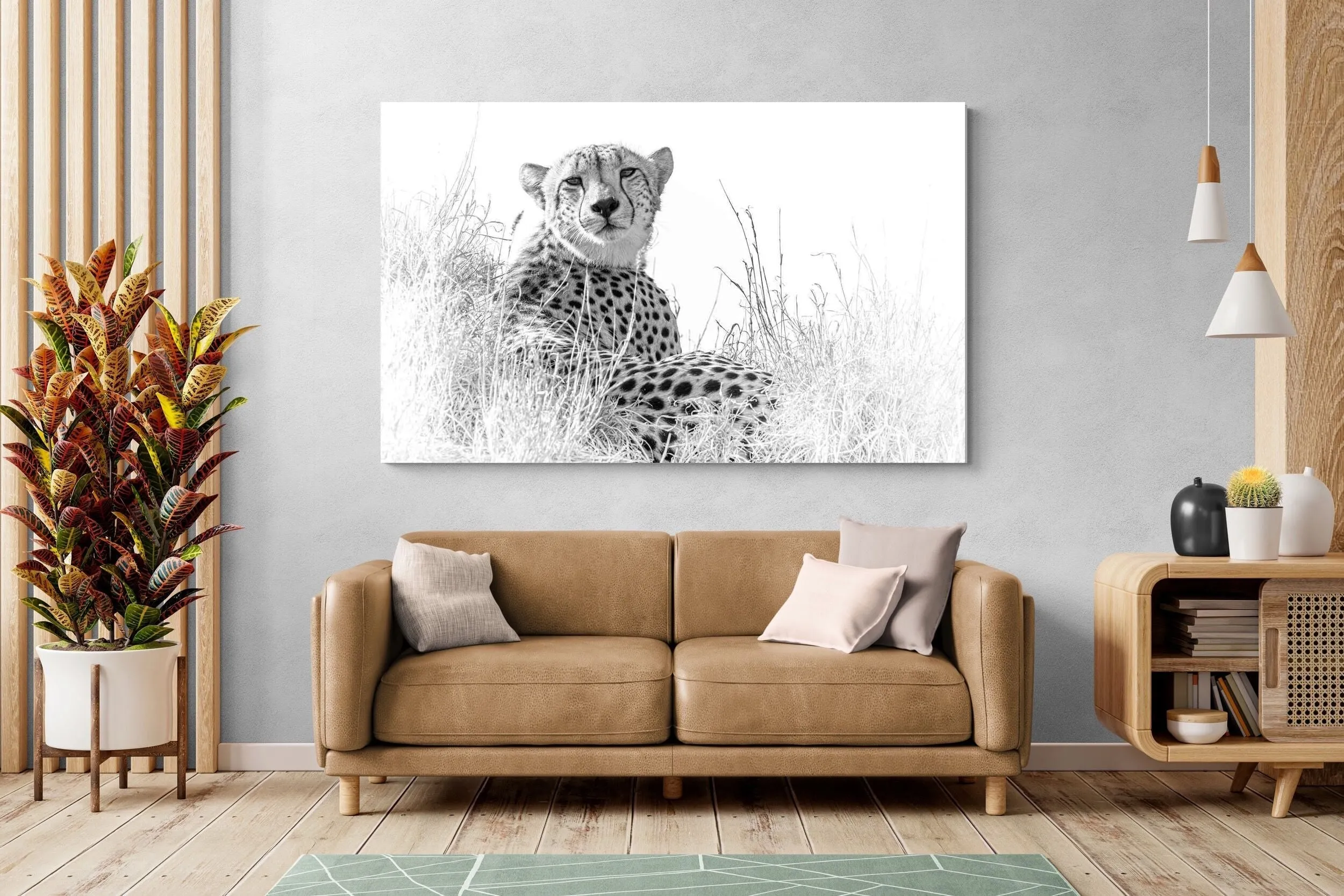 Cheetah Whiteout