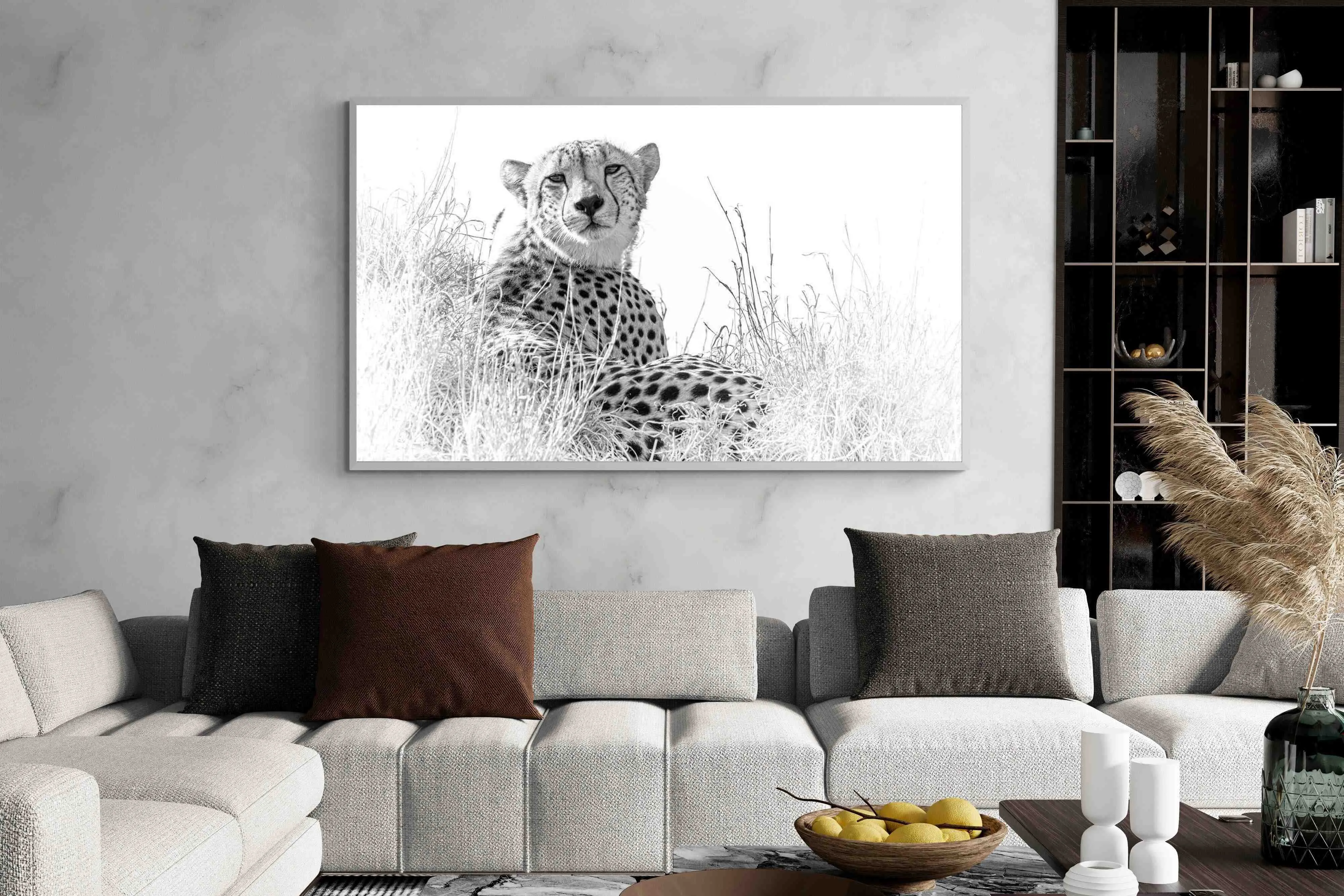 Cheetah Whiteout