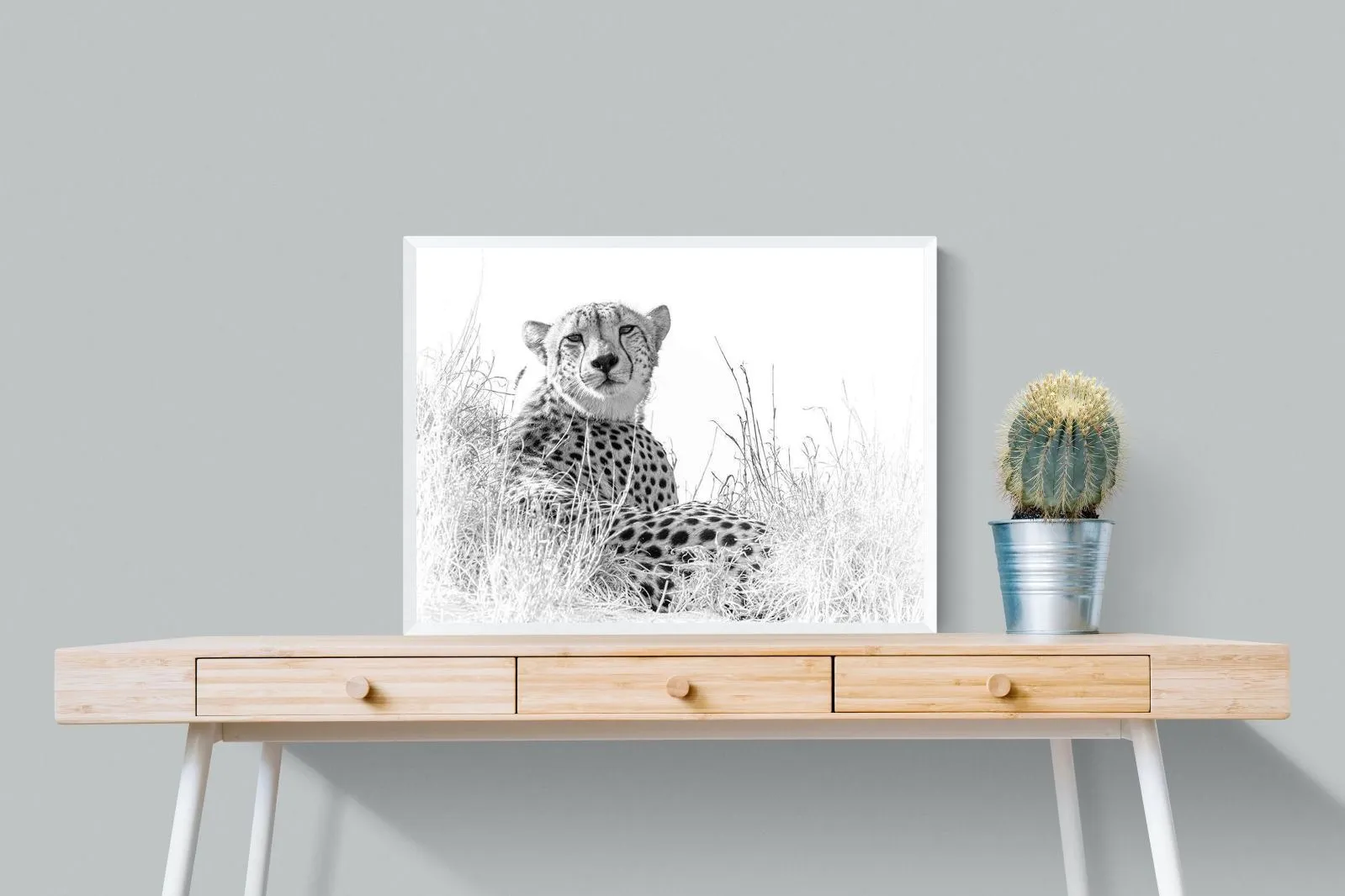 Cheetah Whiteout