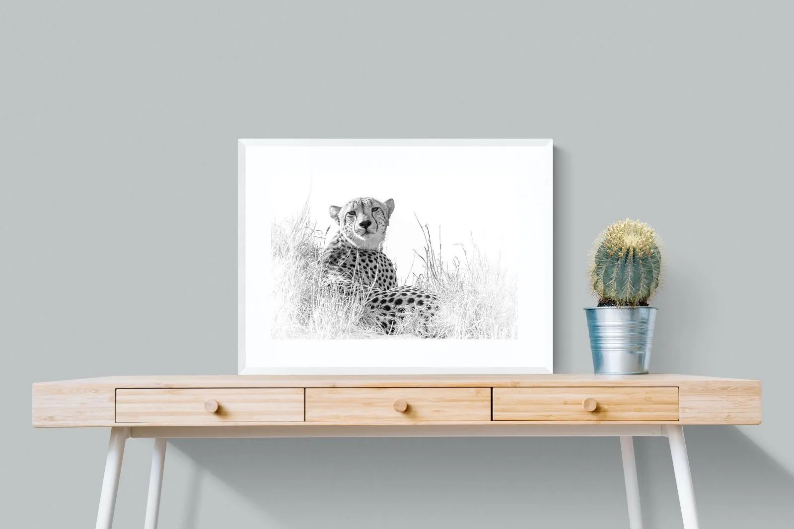 Cheetah Whiteout